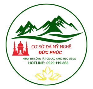 LOGO DUC PHUC